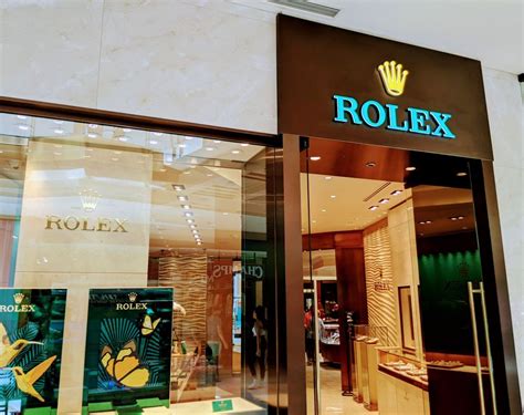 rolex dealership tampa fl.